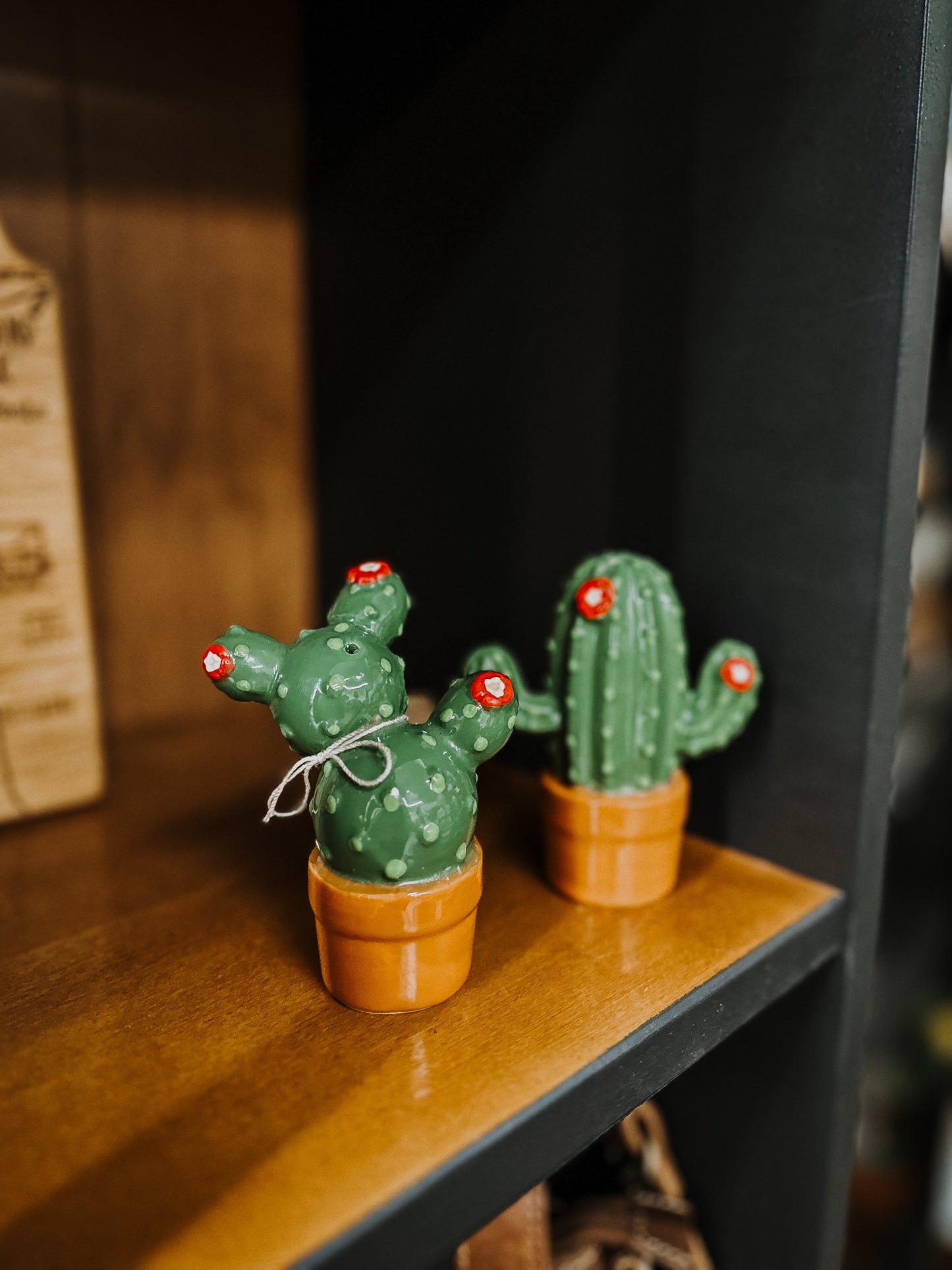 Cactus S & P Shakers