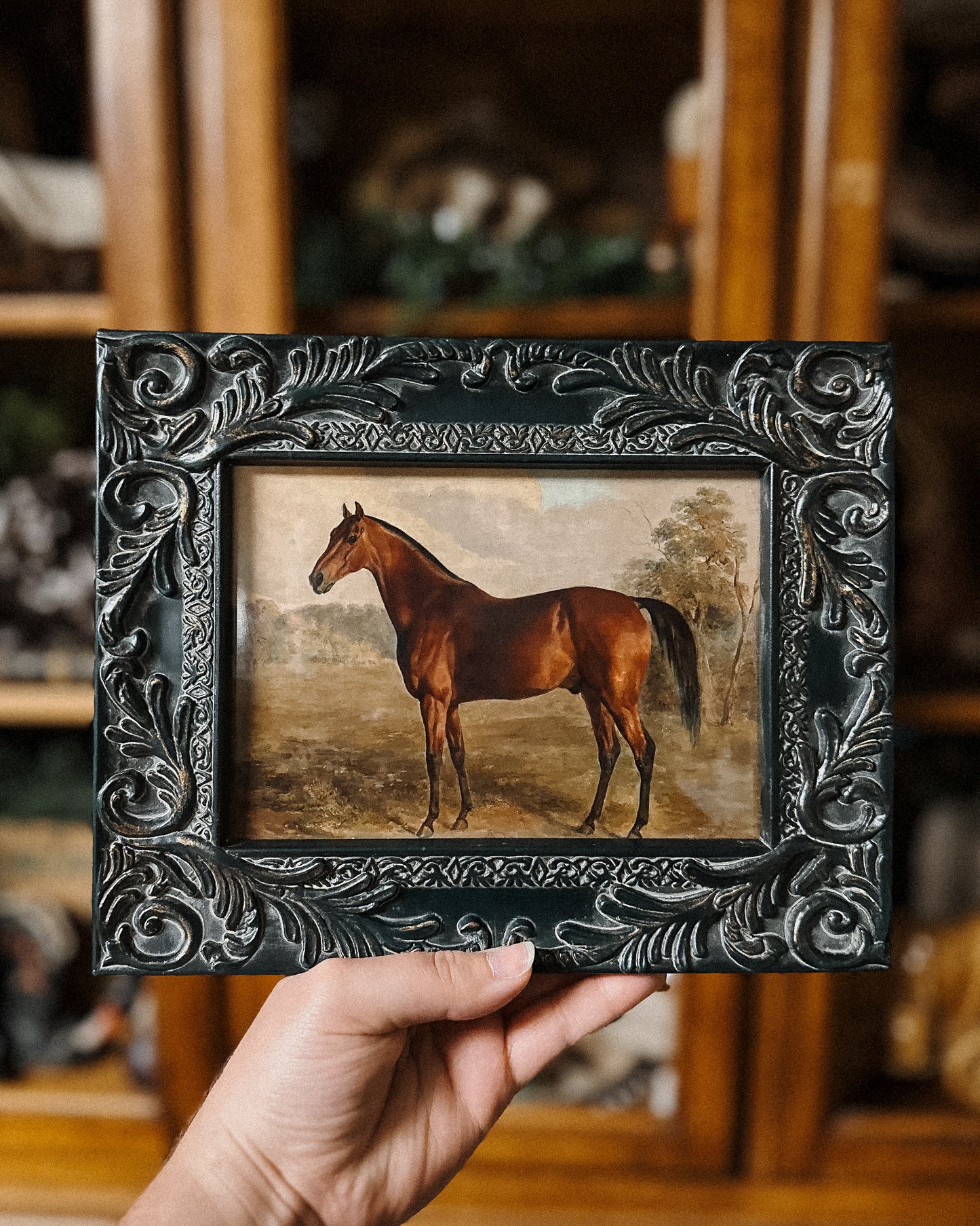 Vintage Horse Print