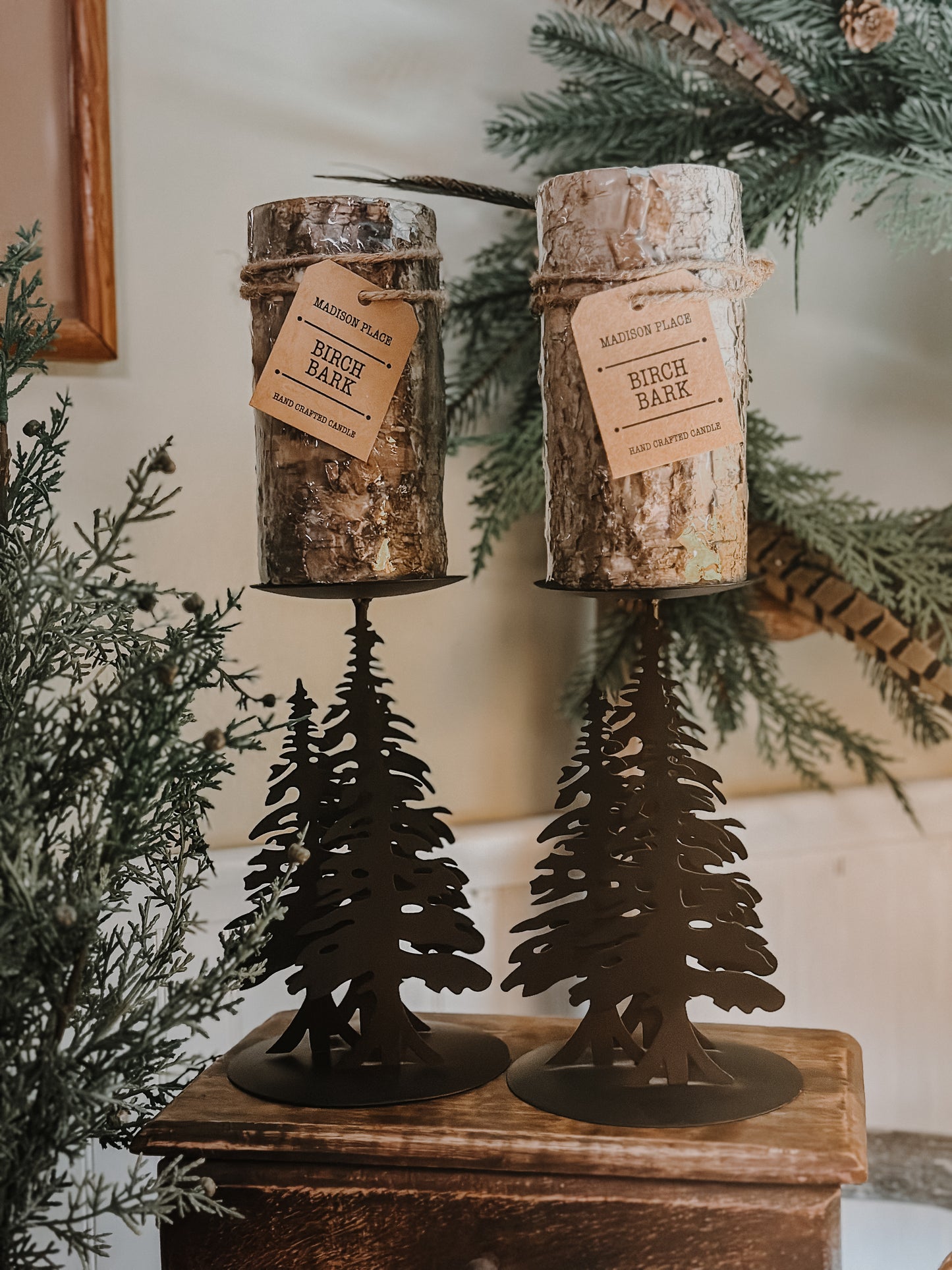 Evergreen Candle Holders