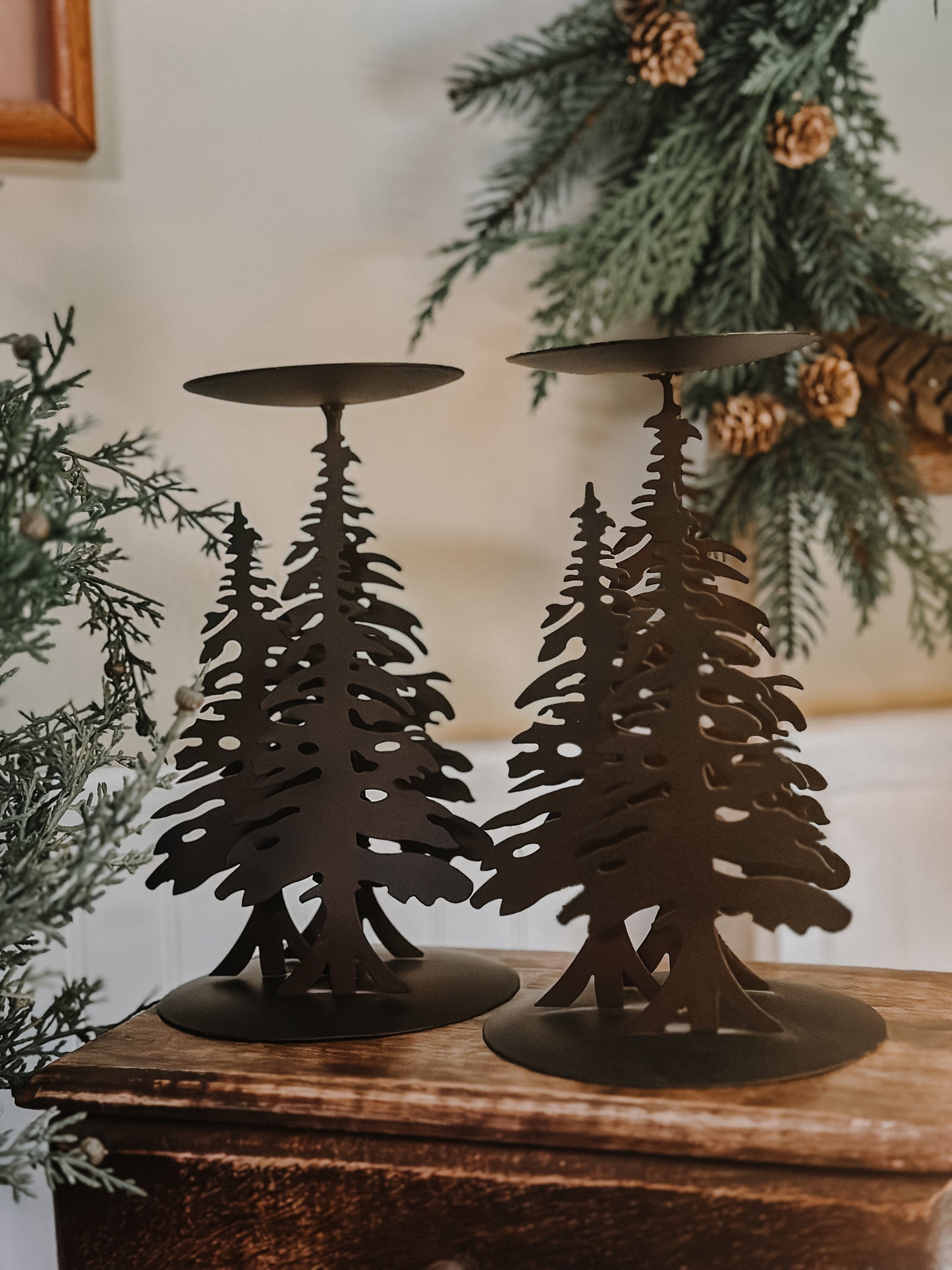 Evergreen Candle Holders