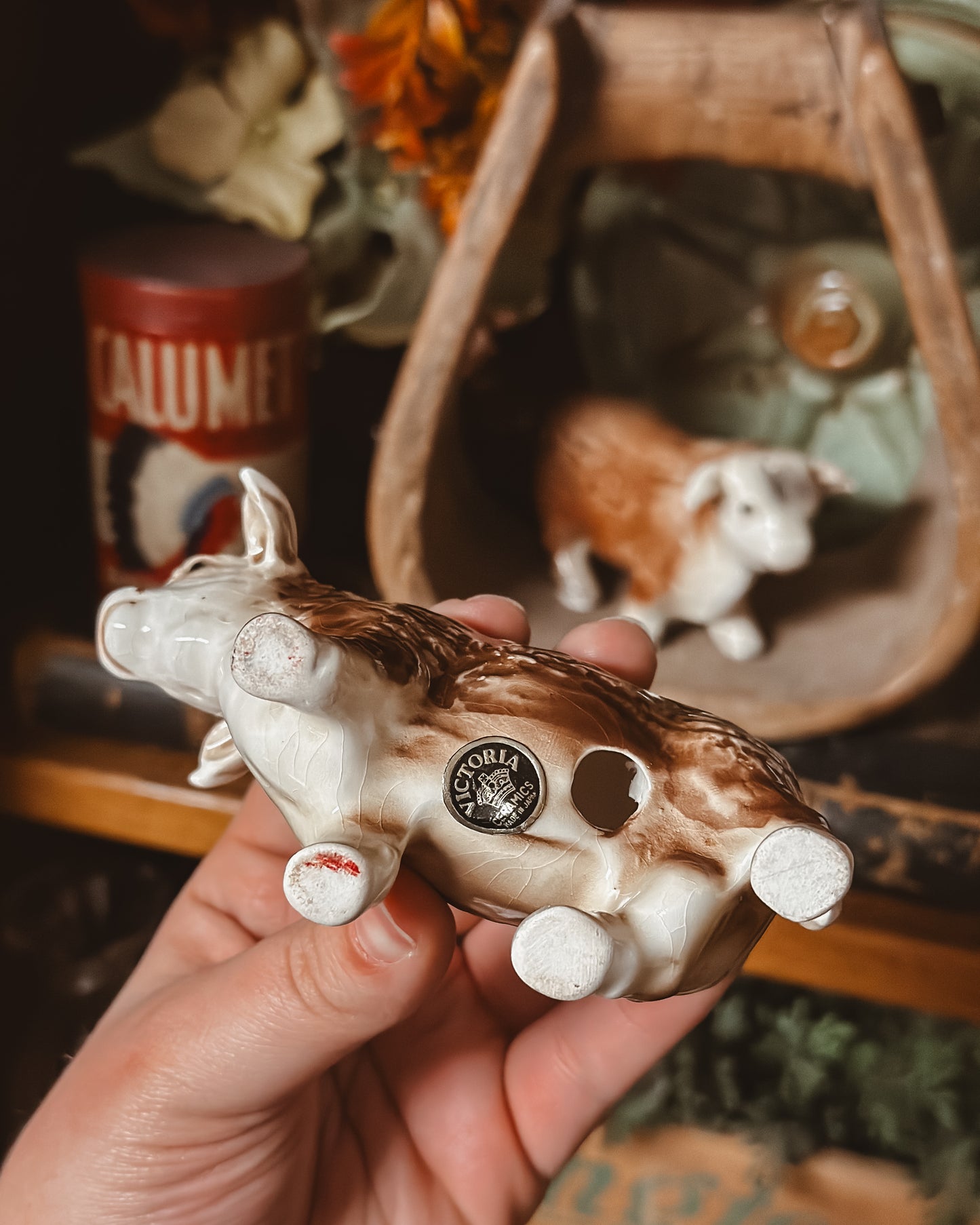 Hereford S+P Shakers