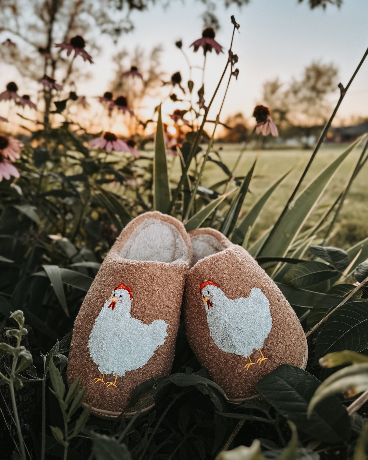 Chicken Slippers