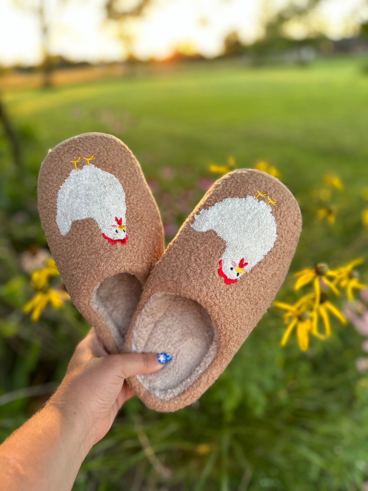 Chicken Slippers