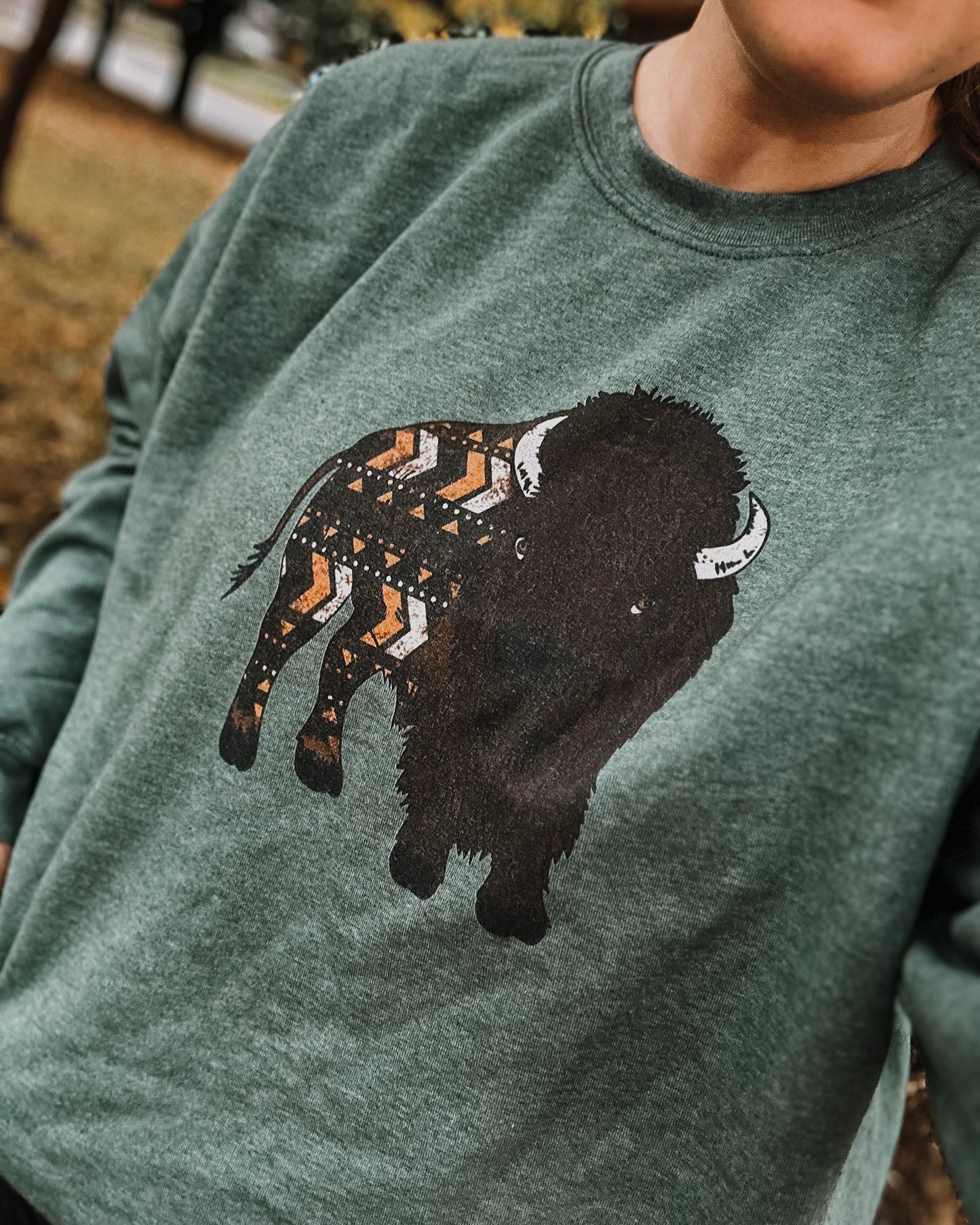 Where the Buffalo Roam Pullover