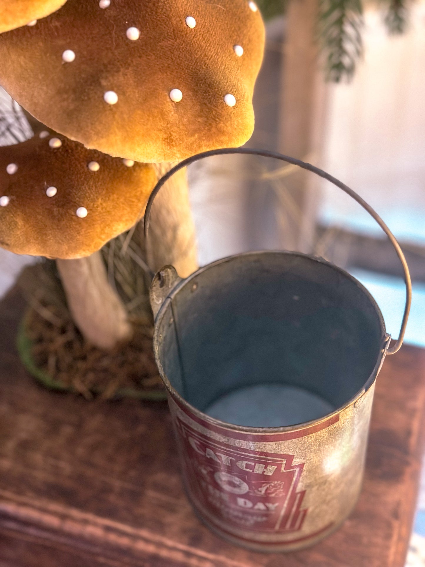 Mini Minnow Pail