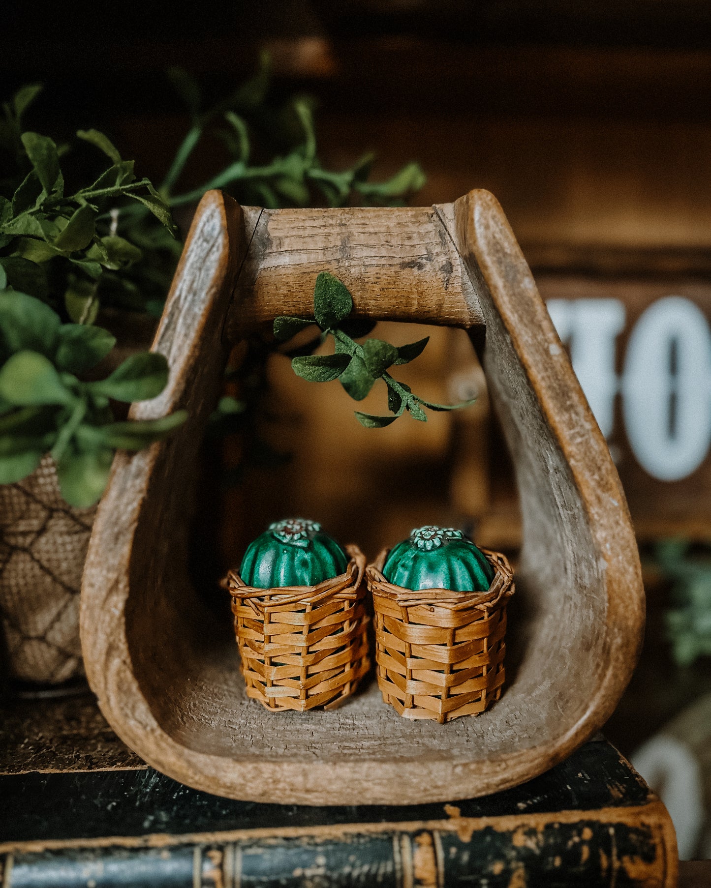 Cactus S+P Shakers