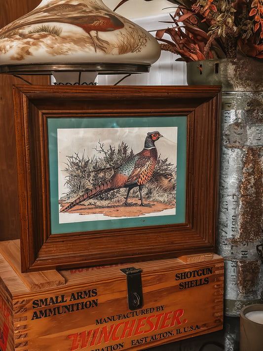 Vtg. Framed Pheasant Print