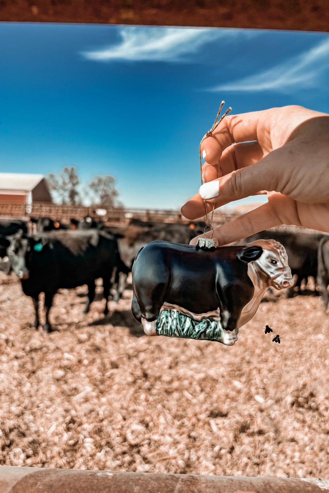 Cattle Ornament
