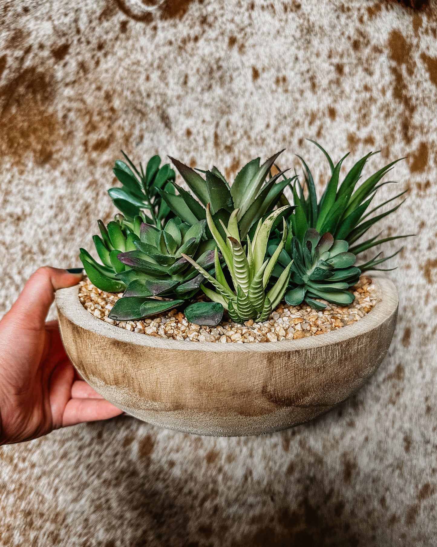 Succulent Bowl