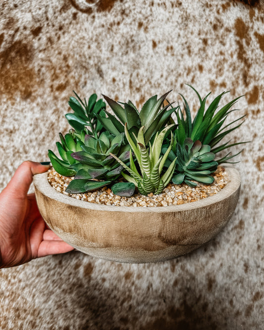 Succulent Bowl