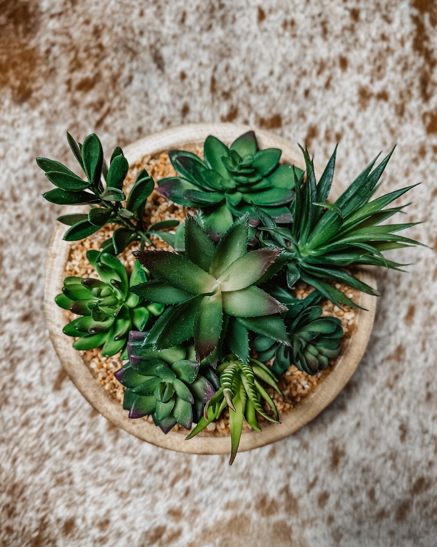 Succulent Bowl