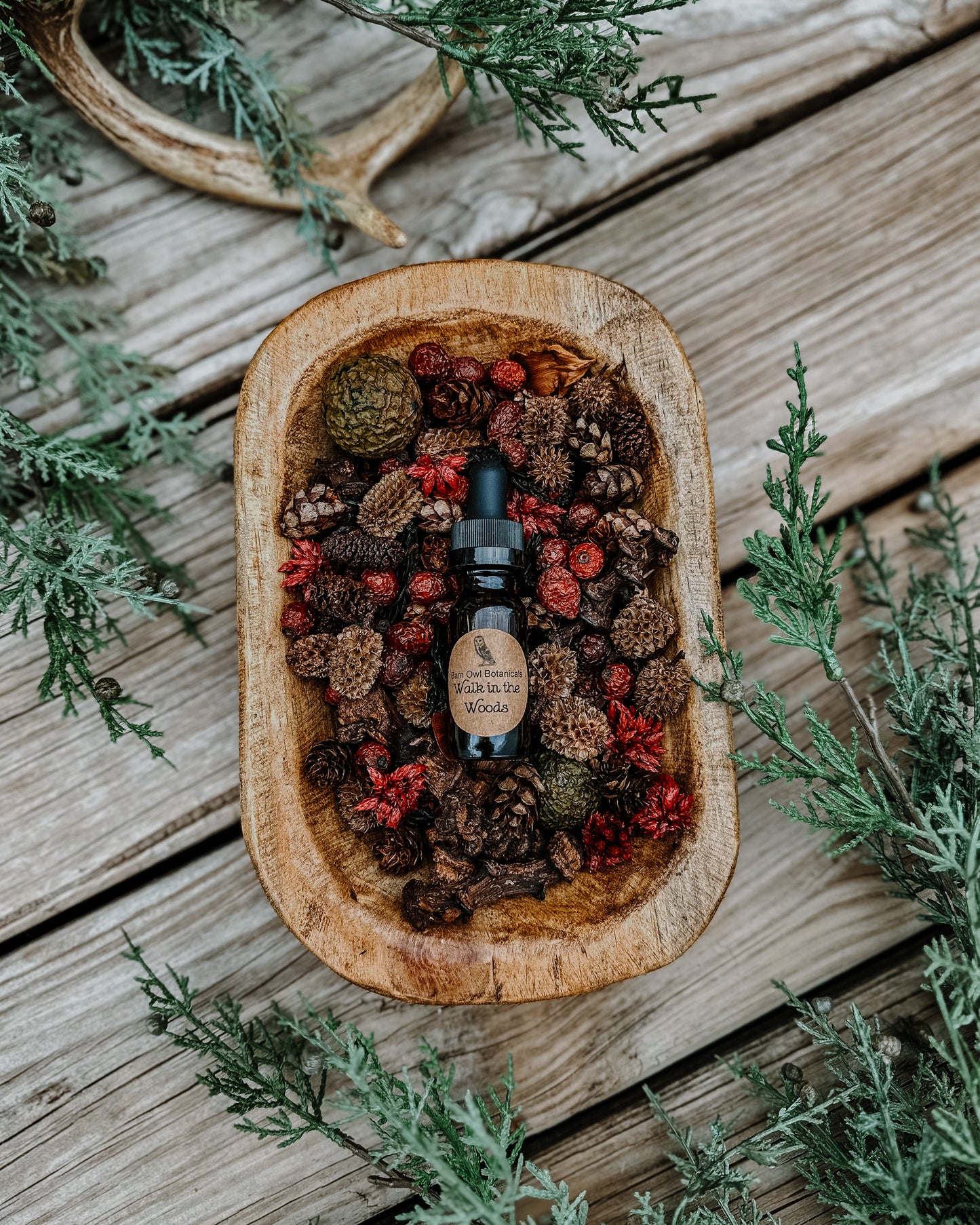 Walk in the Woods Potpourri